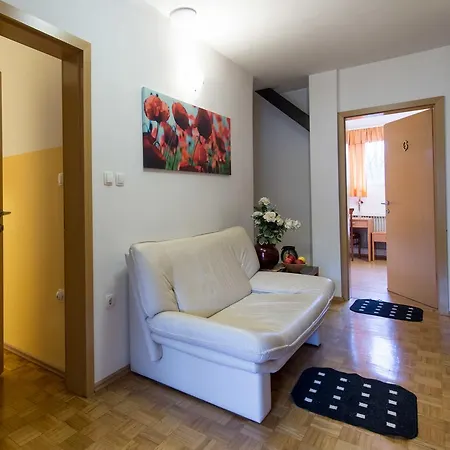 Guest house Kolesar 3*